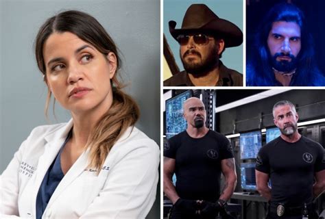 grey's anatomy season 07|'Grey's Anatomy Season 21 Spoilers — Will Carina or Monica .